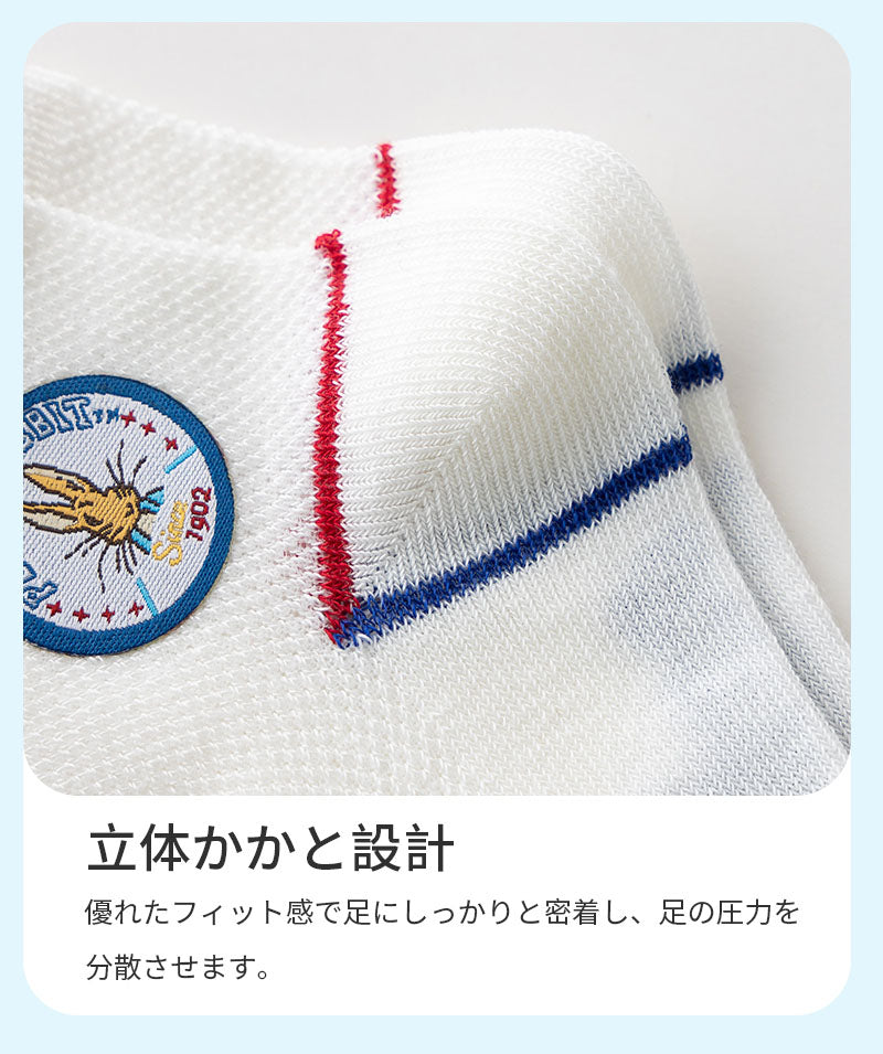 ピーターラビット™靴下 キッズ6足 ギフトセット【S/M/L】子供 小学生 男の子 サッカー 子ども 子供用 メッシュ コットン CARAMELLA カラメラ ソックス プレゼント ギフト peterrabbit™ ピーターラビット™グッズ オススメ かわいい